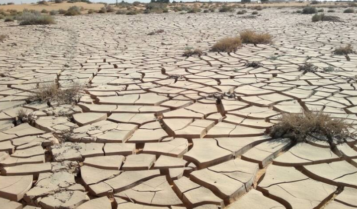 Ouargla ở Algeria là một trong những nơi nóng nhất ở Châu Phi. Năm 2018, nhiệt độ đo được ở Ouargla là 51 độ C. Ngày nay, Ouargla chủ yếu được biết đến nhờ dầu mỏ.