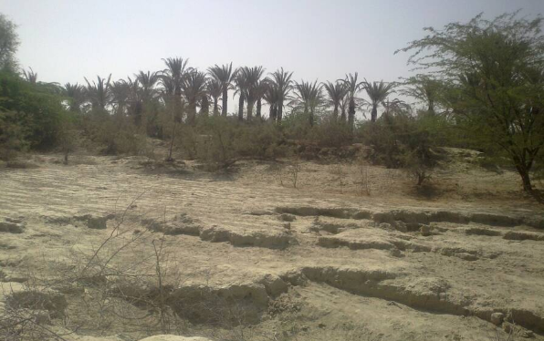 Turbat không chỉ được coi là một trong những nơi nóng nhất ở Pakistan mà còn được coi là một trong những nơi nóng nhất ở châu Á. Vào ngày 28/5/2017, nhiệt độ tại thành phố này tăng vọt lên mức kỷ lục là 53,7 độ C. Ngay cả mùa đông ở Turbat cũng rất ấm áp.