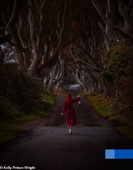 Con đường Dark Hedges ấn tượng ở Antrim, Bắc Ireland.