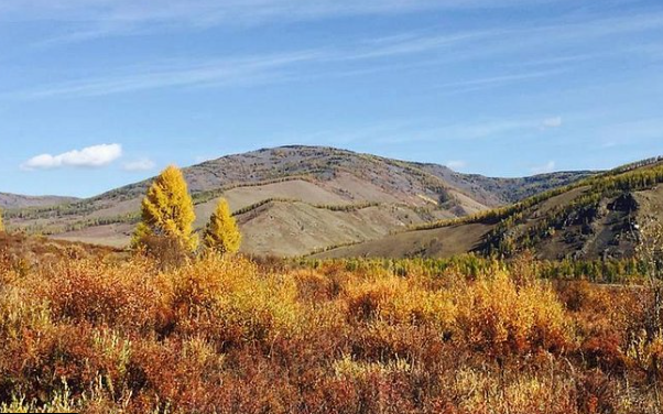 Mông Cổ là nơi có công viên quốc gia lâu đời nhất thế giới, Công viên quốc gia Bogd Khan Uul ở thủ đô Ulaanbaatar. Công viên này có trước Công viên quốc gia Yellowstone hơn 100 năm. Ảnh: TC.