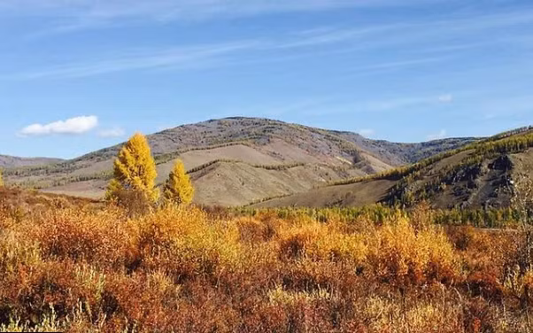 Mông Cổ là nơi có công viên quốc gia lâu đời nhất thế giới, Công viên quốc gia Bogd Khan Uul ở thủ đô Ulaanbaatar. Công viên này có trước Công viên quốc gia Yellowstone hơn 100 năm. Ảnh: TC.