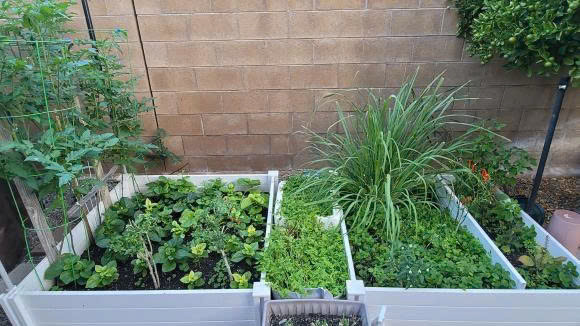 Trên trang cá nhân ông bầu Dũng Taylor thường đăng tải ảnh về khu vườn bên trong biệt thự của gia đình ở Mỹ.