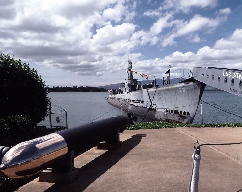 Vụ tai nạn đã khiến gần như toàn bộ thủy thủ trên tàu ngầm USS Tullibee thiệt mạng, số ít may mắn sống sót kể lại rằng họ đã chọn góc bắn quả ngư lôi quá thấp và trượt mục tiêu khiến nó đi theo quỹ đạo vòng tròn và tìm về đúng vị trí của con tàu mẹ vừa phóng nó ra, do có thiết kế với năng lượng dự trữ khá lớn và không có hệ thống tự hủy nên thảm họa đã xảy ra. Nguồn ảnh: Flickr.