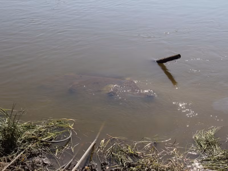 Chiếc xe tăng T-34 được cho là thuộc về Sư đoàn 1 hoặc Sư đoàn 3 của Hồng Quân Liên Xô. Đây là hai đơn vị đã tham gia trận đánh Nikolayevka bên bờ sông Đông vào năm 1943 nhắm vào Sư đoàn 8 bộ binh của Italia. Nguồn: Englishrussia.