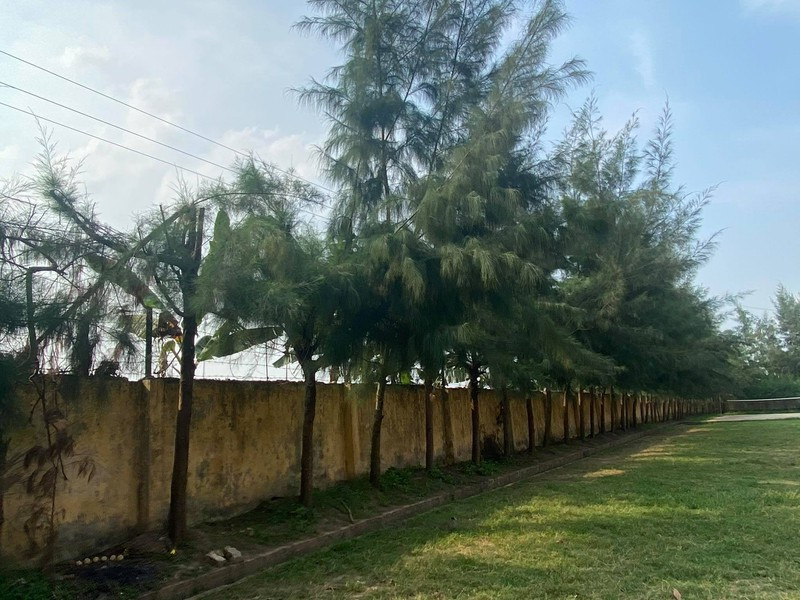 Hoc sinh bi dieu di cat tia cay tu vong: Dien luc Thanh Ha co tho o?