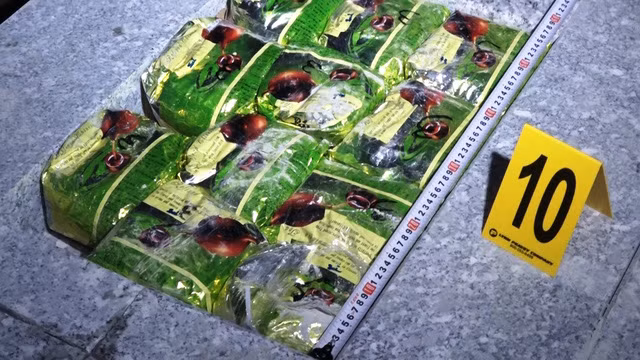 Chieu tro nhet ma tuy trong da granite buon xuyen quoc gia cua cuu canh sat Han-Hinh-4