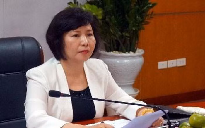 Dan do nguyen Thu truong Ho Thi Kim Thoa tu Phap ve nhu nao?