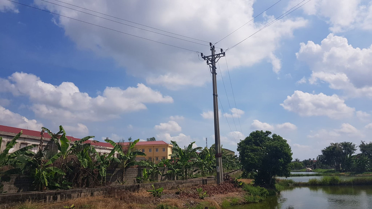 Hoc sinh bi dieu di cat tia cay tu vong: Dien luc Thanh Ha co tho o?-Hinh-2