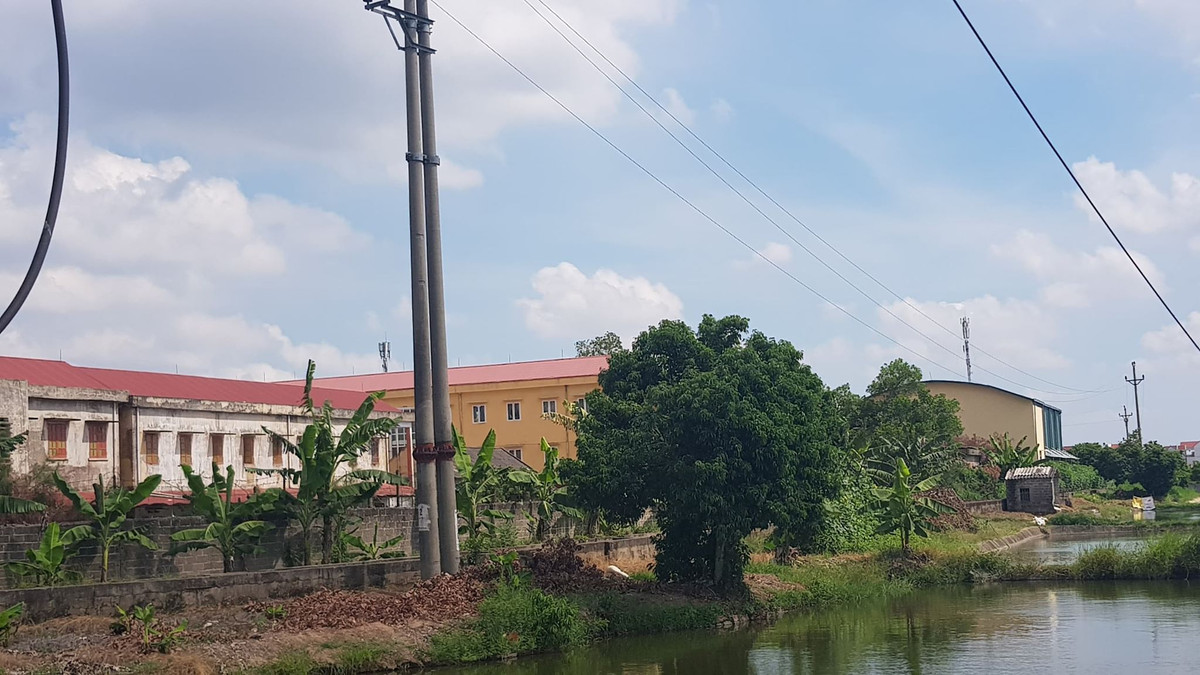 Hoc sinh bi dieu di cat tia cay tu vong: Dien luc Thanh Ha co tho o?-Hinh-3