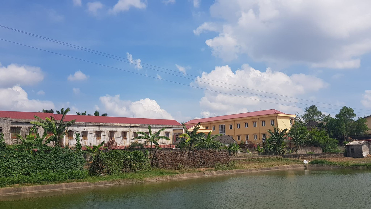 Hoc sinh bi dieu di cat tia cay tu vong: Dien luc Thanh Ha co tho o?-Hinh-4