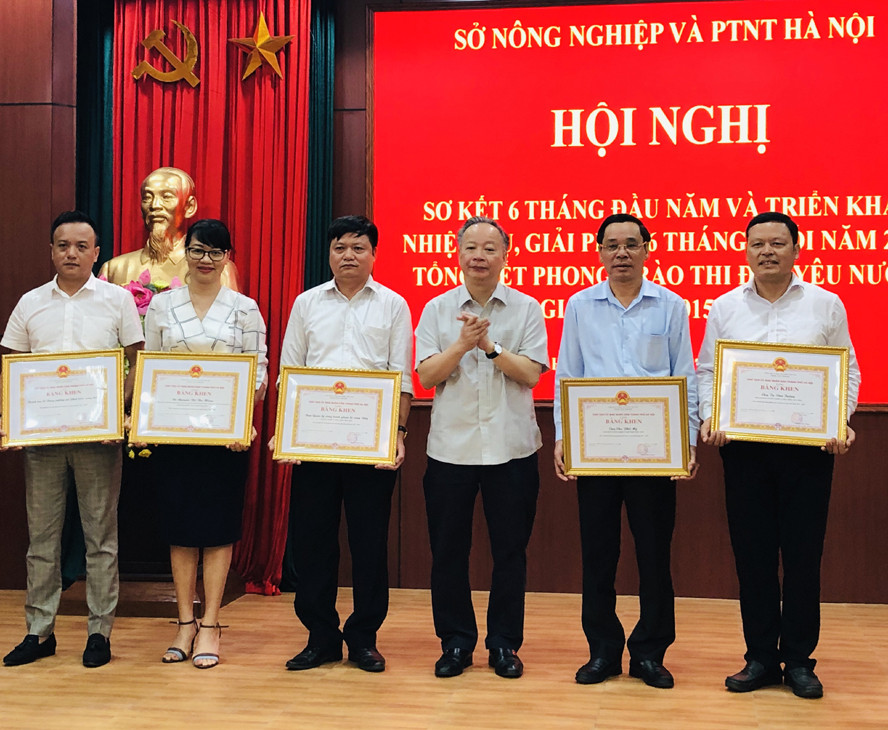 Ông Nguyễn Văn Sửu thực hiện chức trách, nhiệm vụ và quyền hạn theo Luật Tổ chức chính quyền địa phương. Quy chế làm việc của Ban cán sự Đảng UBND Thành phố, Quy chế làm việc của UBND TP Hà Nội.