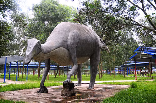 Ngoài vườn quái thú, tại khu du lịch Đảo Ngọc Xanh còn có công viên khủng long với nhiều loài khủng long được dựng lại với kích thước giống như thật, rất to lớn.
