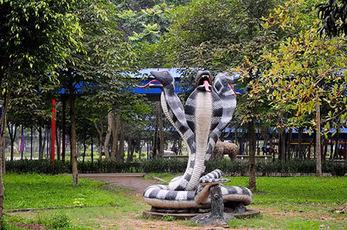 Quái vật rắn hổ mang có 3 đầu.