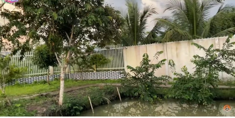Gia đình Lâm Chân Khang cũng trồng nhiều cây cối trong khu vườn. Ảnh: Chụp màn hình