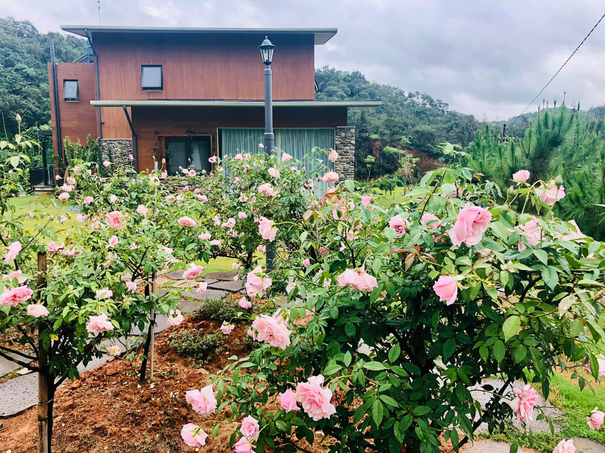 Xung quanh ngôi nhà, gia chủ thiết kế nhiều hạng mục đáp ứng nhu cầu giải trí như vừa hoa, vườn rau sạch, ao cá...Ảnh: Vietnamnet