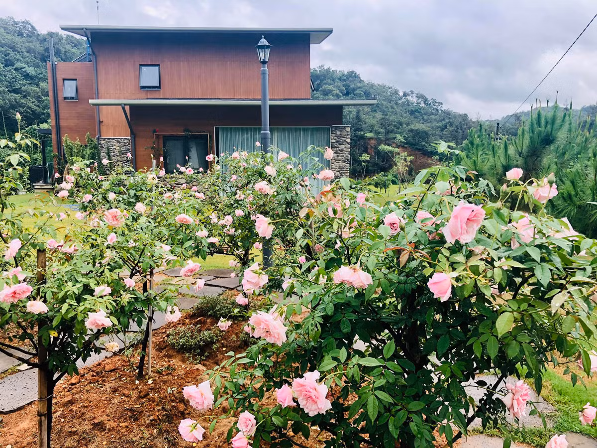 Xung quanh ngôi nhà, gia chủ thiết kế nhiều hạng mục đáp ứng nhu cầu giải trí như vừa hoa, vườn rau sạch, ao cá...Ảnh: Vietnamnet