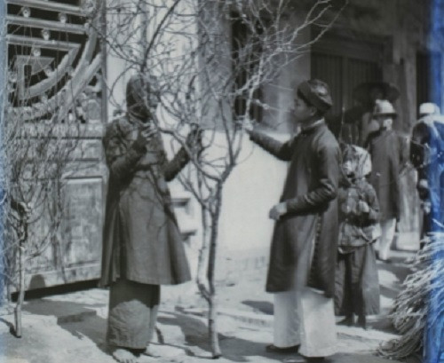 Nếu như người bình thường chỉ sắm cành đào, cành mai nhỏ thì đại gia Hà thành chơi các loại đào thế, mai thế lâu năm. Ảnh: Kenhthoitiet