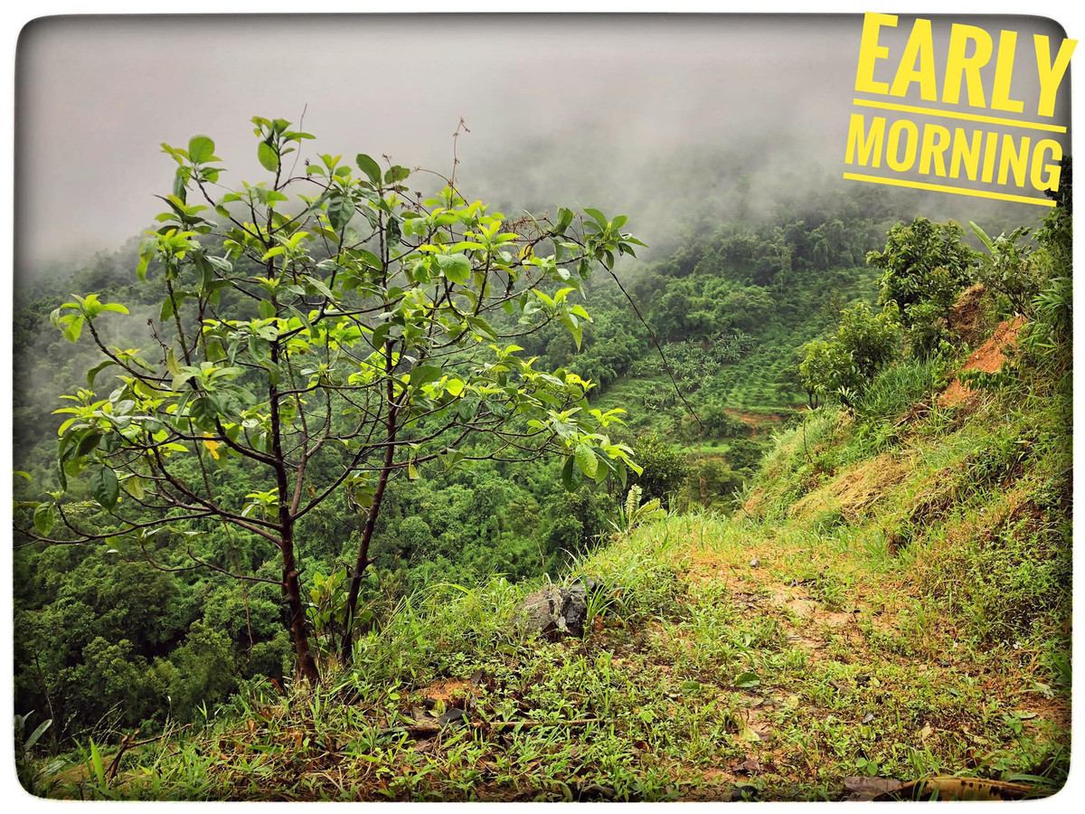Cuộc sống thanh bình, làm "nông dân" miền sơn cước của Tiến Đạt - Thụy Vy khiến nhiều người thích thú.