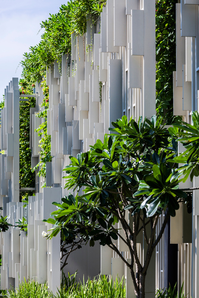 Nhiều loại cây khác nhau được sử dụng giống như một phần kiến trúc của căn nhà.