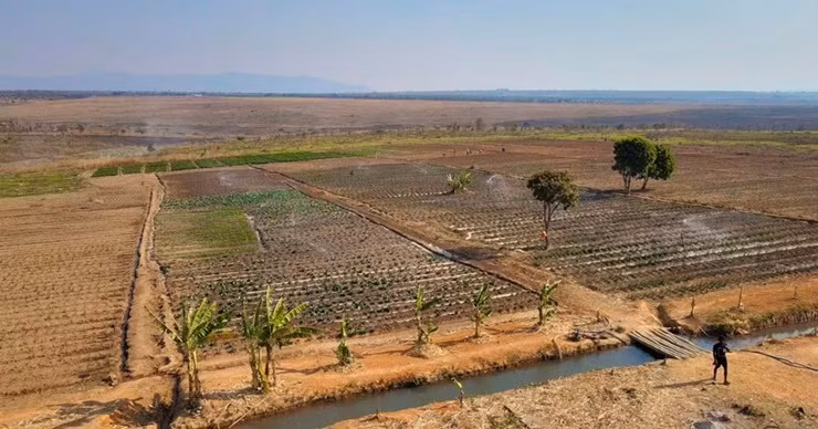 Tại trang trại này, Quang Linh Vlog đưa cả máy cắt cỏ từ Việt Nam sang để việc dọn dẹp, canh tác được nhanh hơn.