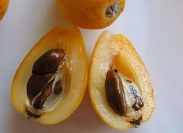 3 qua dai nuoc ngoai “cho khong dat” ve Viet Nam gia 