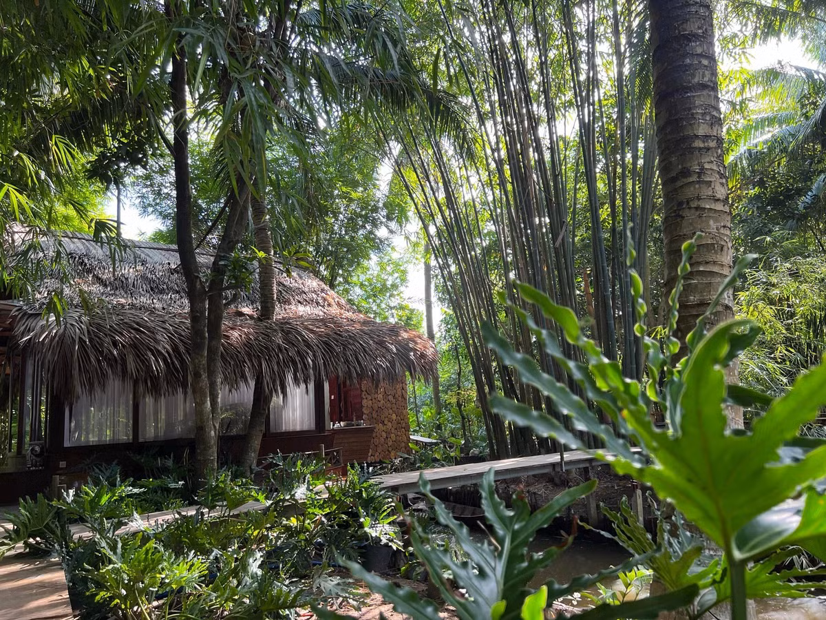 Ban đầu, diễn viên Vân Trang quyết định khởi công xây dựng nơi này, chỉ với một mơ ước duy nhất là có nơi để các con về chơi đúng chất những em bé vùng quê.