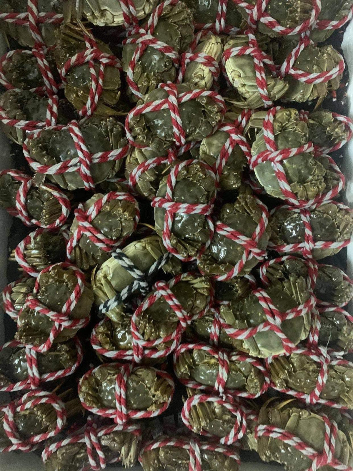 Cũng bởi giá rẻ kèm lời mời hấp dẫn, không ít chị em sẵn sàng chi tiền để thưởng thức.