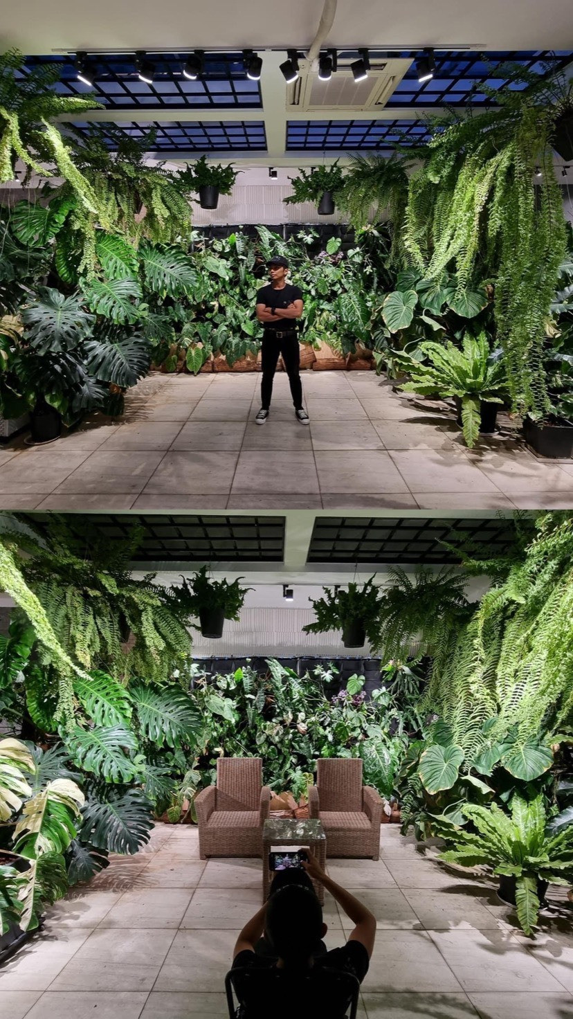 Đáng chú ý nhất trong nhà là vườn hoa và vườn lá trên sân thượng. Ảnh: Facebook