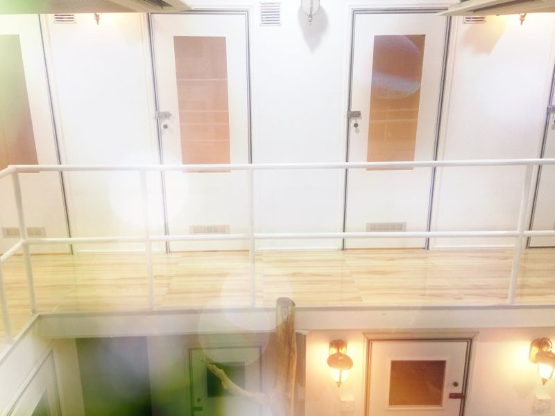 Nhiệt độ trong phòng được kiểm soát, đảm bảo sức khoẻ của mèo. Nguồn ảnh: Homecrux