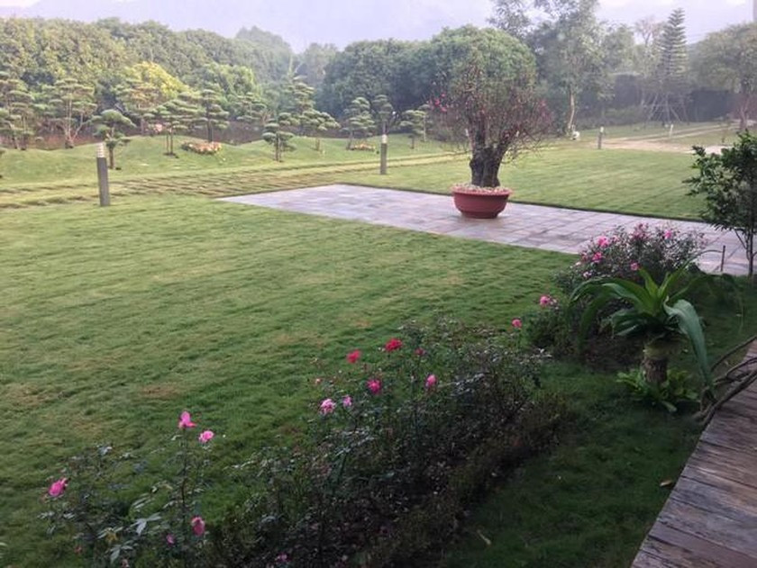 Trong khu vườn còn trồng nhiều loại hoa và tiểu cảnh đẹp mắt. Ảnh: Báo pháp luật