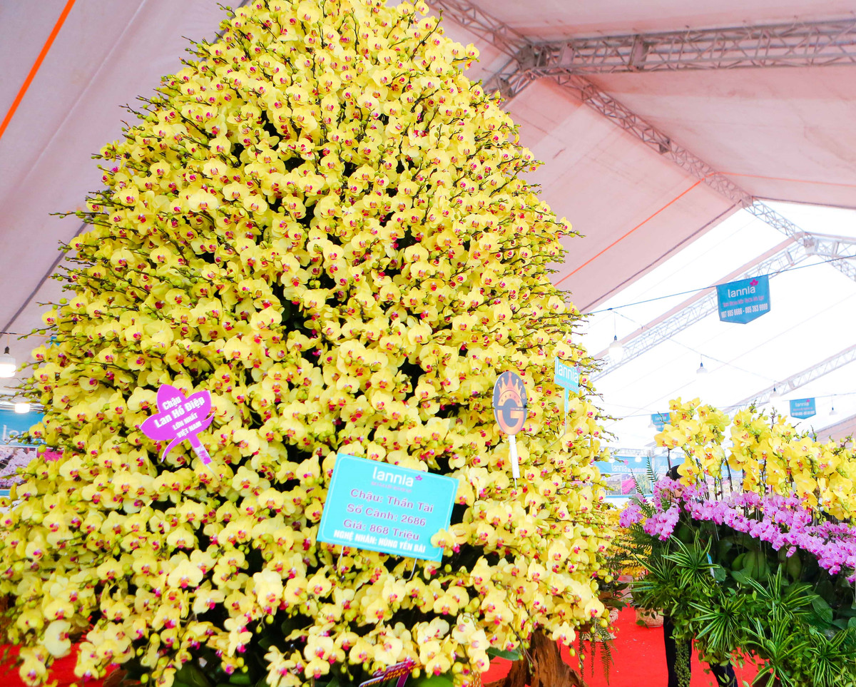 Chậu lan được tạo hình tháp có đường kính 1,5m, bên ngoài được khảm trai vẩy rồng, dát vàng. Ảnh: Người đưa tin