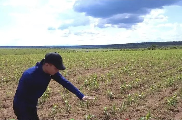 Để có được thành quả này, nam Youtuber và nhóm liên tục làm việc, cải tạo đất và cây trồng.