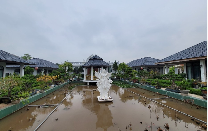Khuôn viên khu biệt thự nhà vườn có rất nhiều cây xanh, ao, chòi, hồ sen... Ảnh: Người đưa tin