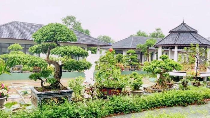 Căn nhà này của các con ông Mai Đức Vân (đang kinh doanh tại Tp HCM). Khu nhà vườn được đặt tên "Di sản văn hoá gia tộc Mai Đức Vân".