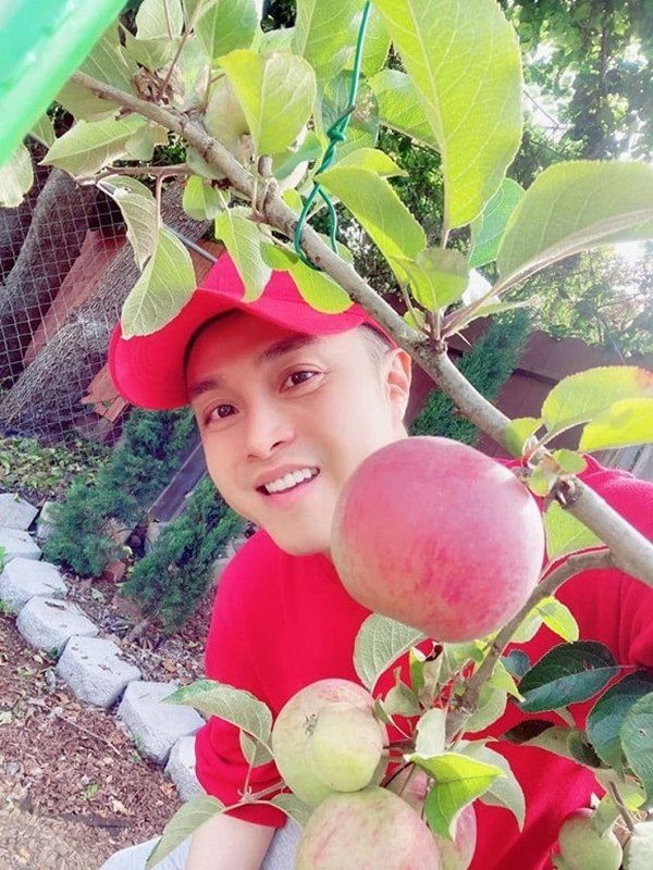 Nhật Tinh Anh hào hứng chia sẻ ảnh thu hoạch trái cây trong vườn. Nguồn ảnh: FBNV