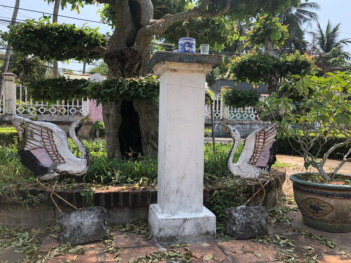 Khuôn viên trước nhà thoáng mát với khoảng sân rộng lớn. Ảnh: Thamhiemmekong