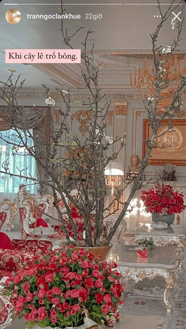 Theo những bức ảnh Lan Khuê hé lộ, dễ dàng nhận thấy toàn bộ bàn ghế, cách bày trí trong nhà đều toát ra vẻ sang trọng, quý tộc.