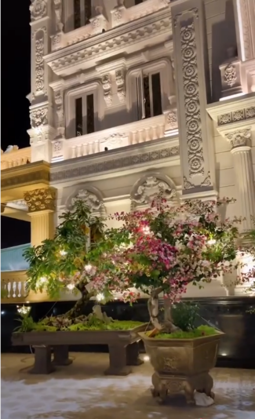 Có người từ Sài Gòn xa xôi xuống tận Thủ Thừa để ngắm nhìn căn biệt thự này. Nguồn ảnh: chụp màn hình Tiktok