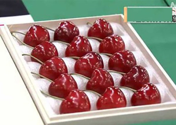 Cherry Nhật xuất hiện tại thị trường Việt vài năm gần đây. Phần lớn, cherry Nhật về theo dường xách tay và có giá bán vô cùng đắt đỏ. Ảnh: Getty