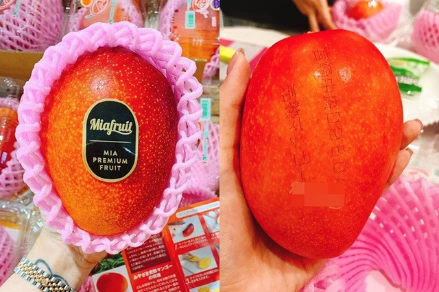 Bất chấp giá mức 3 triệu đồng/kg, xoài Ruby thượng hạng của Nhật Bản vẫn "cháy hàng" ở Việt Nam vì quá đông khách đặt mua. Ảnh: Mia Fruits