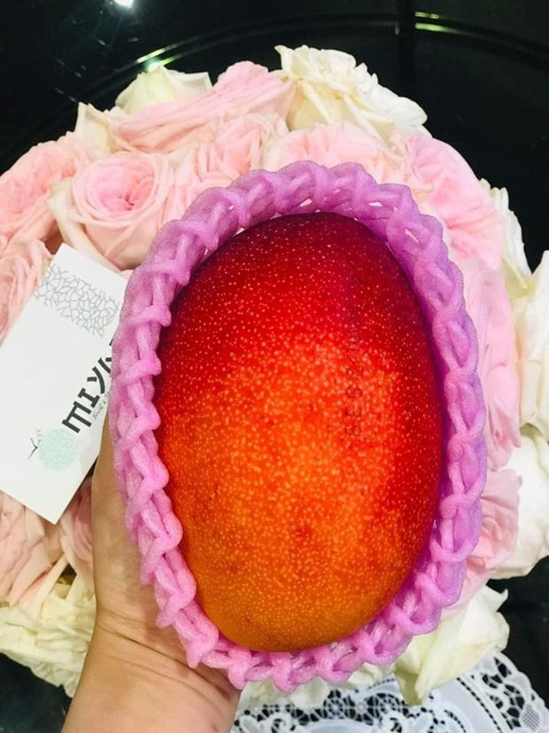 Trung bình một quả xoài thượng hạng (400g) này có giá khoảng 1 triệu đồng tại Việt Nam. Ảnh: Facebook