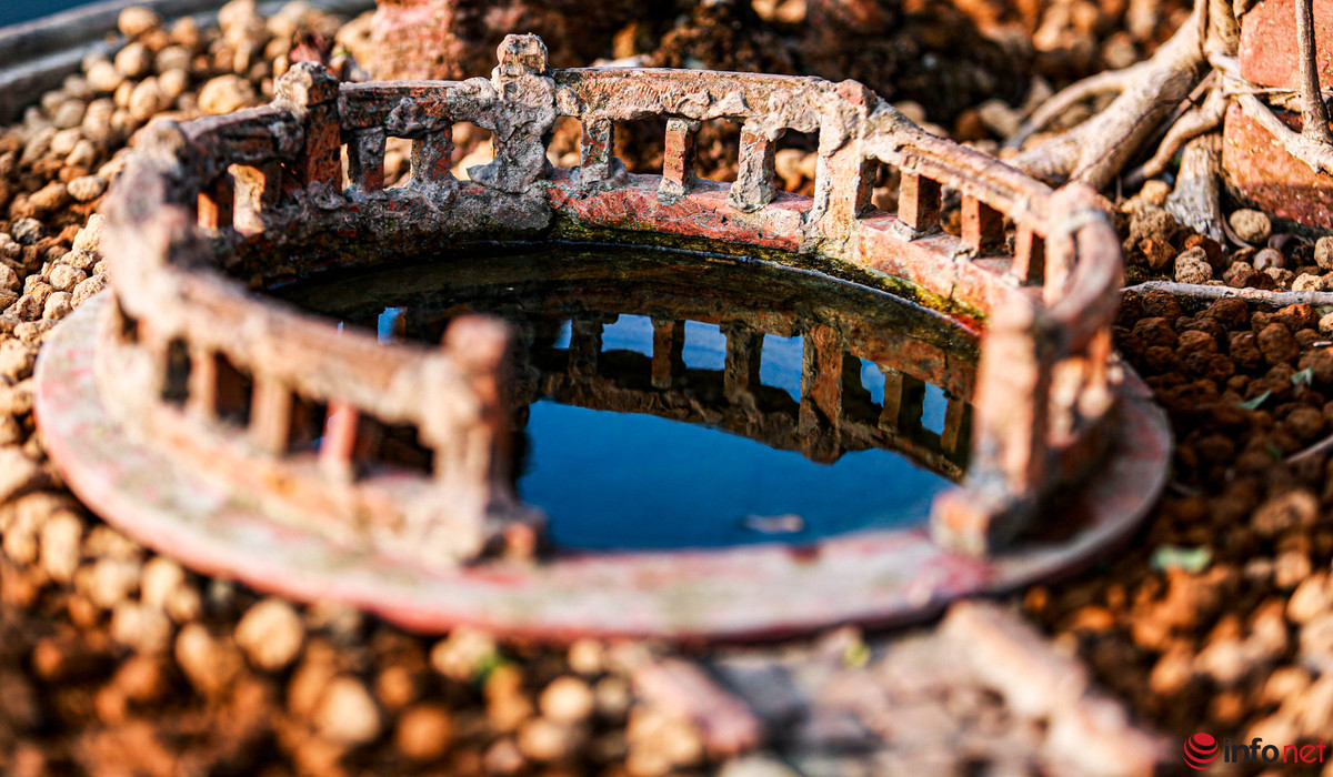 Nhiều tiểu cảnh được tạo quanh tác phẩm sanh cổ "hồn quê". Ảnh: Infonet