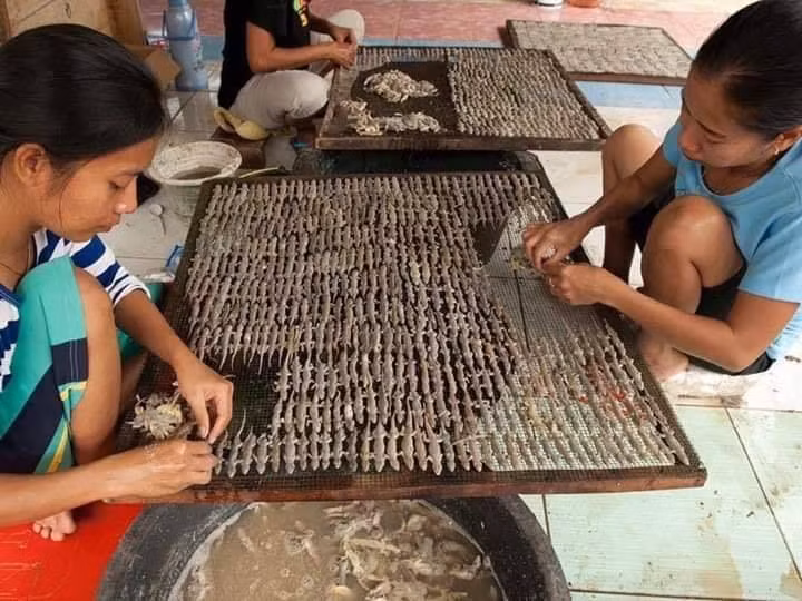 Khô thạch sùng là đặc sản nổi tiếng ở miền Tây, đặc biệt là vùng Kiên Giang. Ảnh: Bà Rịa Youth