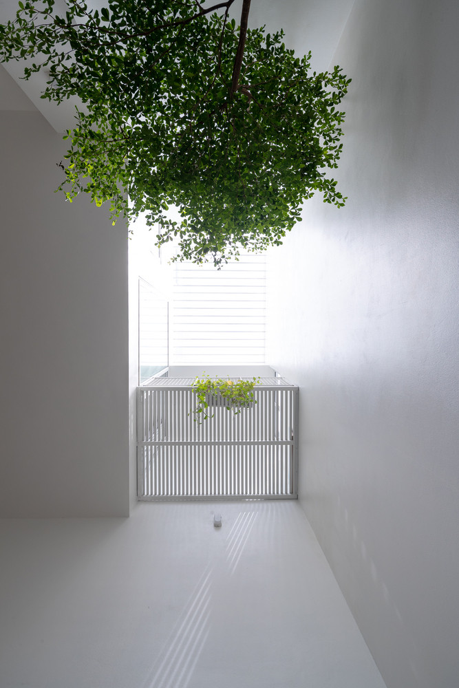 Cấu trúc chính của căn nhà được thiết lập bằng cách liên tục thay đổi mức độ của các tầng.