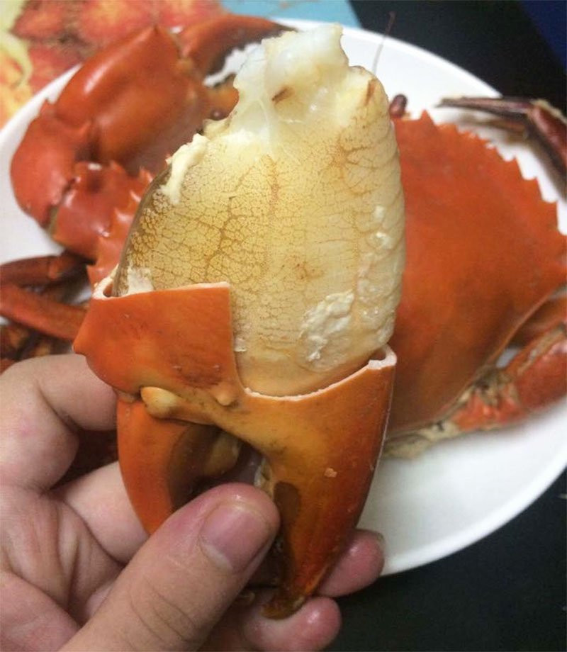 Ngoài thớ thịt săn chắc, ngon ngọt, gạch cua còn mềm mịn và béo ngậy. Anrh: Facebook