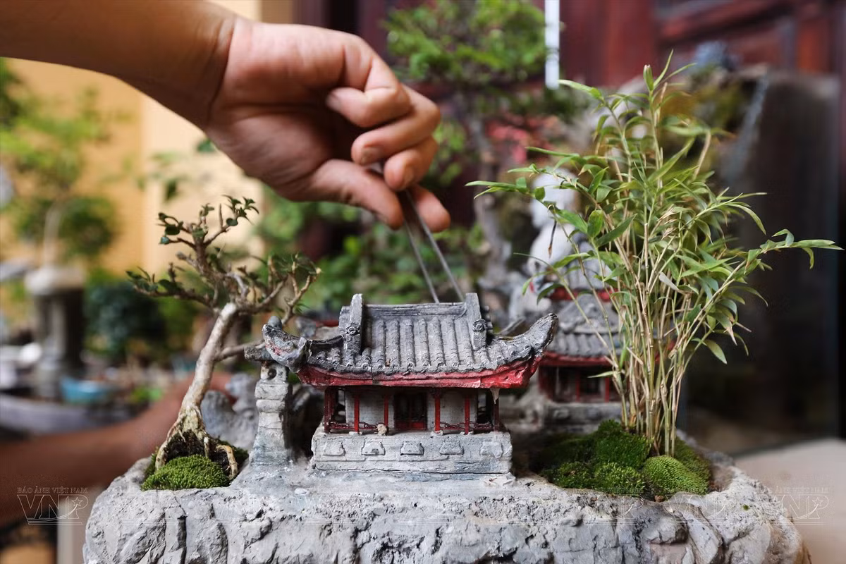 Theo anh Huy, công đoạn để tạo ra một chậu bonsai bé nhỏ chỉ vài cm đòi hỏi rất tỉ mỉ, kỹ càng, từ chọn chất liệu phôi, chất trồng tơi xốp... đến điều kiện ánh sáng, nhiệt độ... Ảnh: BaoanhVietnam