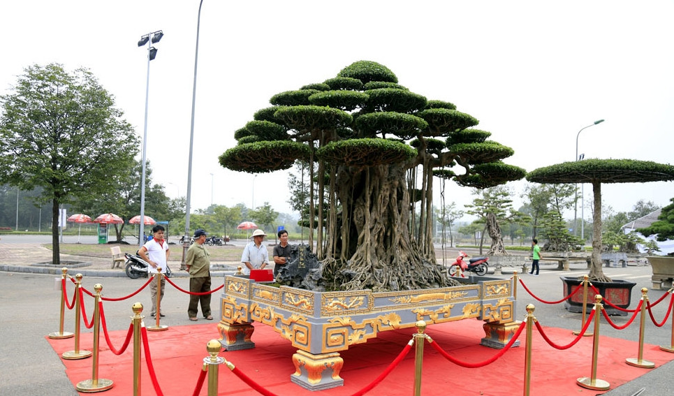 Chưa hết, giới nhà giàu Việt còn dát 5 cây vàng cho chậu cây cảnh. Ảnh: Vietnamnet