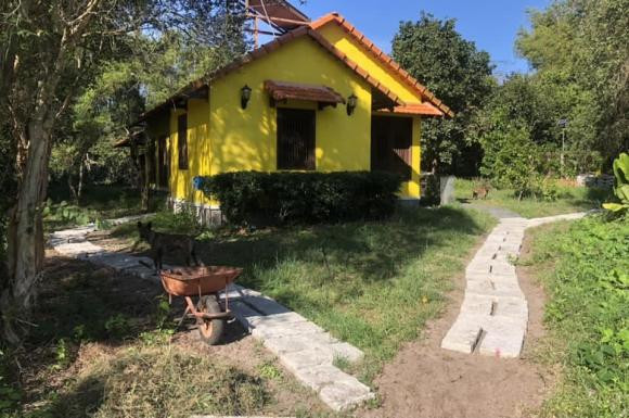 Bên trong mảnh vườn có một căn nhà nhỏ màu vàng đẹp mắt.