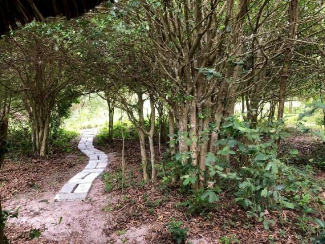 Lối đi dẫn từ vườn vào nhà được lát gạch.