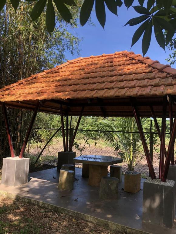 Mỗi khi áp lực công việc, BTV Thu Uyên dành thời gian chăm sóc vườn cây để thư giãn. Nguồn ảnh: FBNV